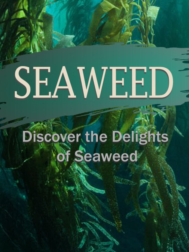 Seaweed